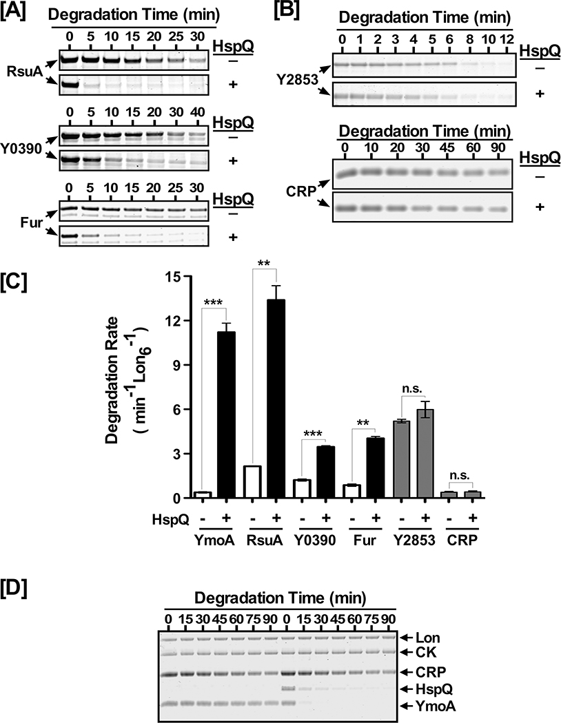 Figure 3: