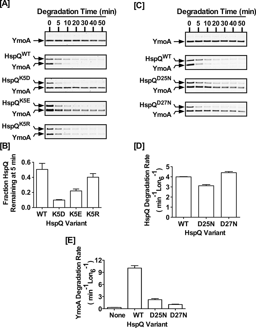 Figure 7: