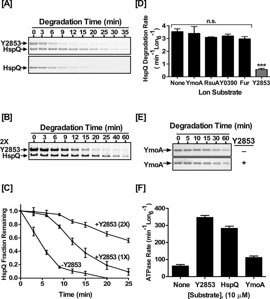 Figure 4: