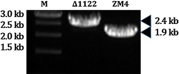 Fig. 2