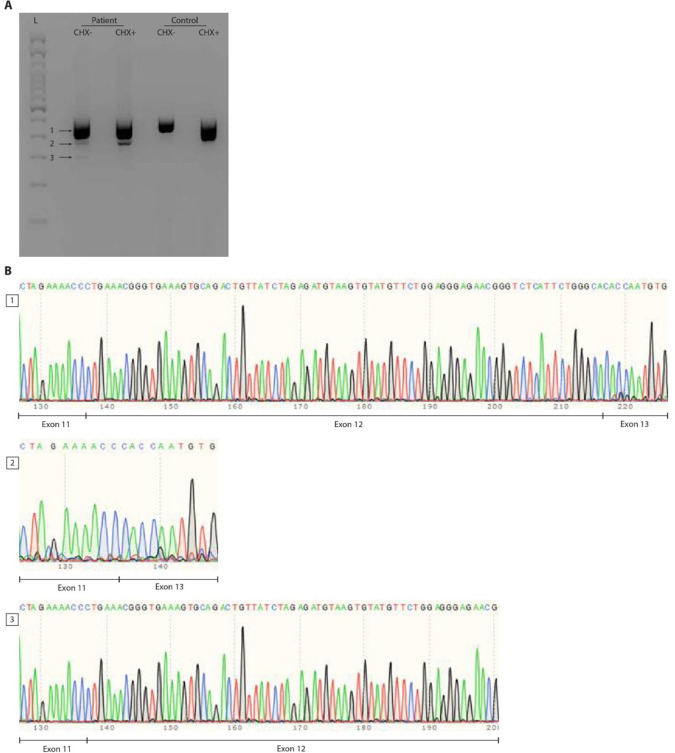 Figure 2—figure supplement 1.