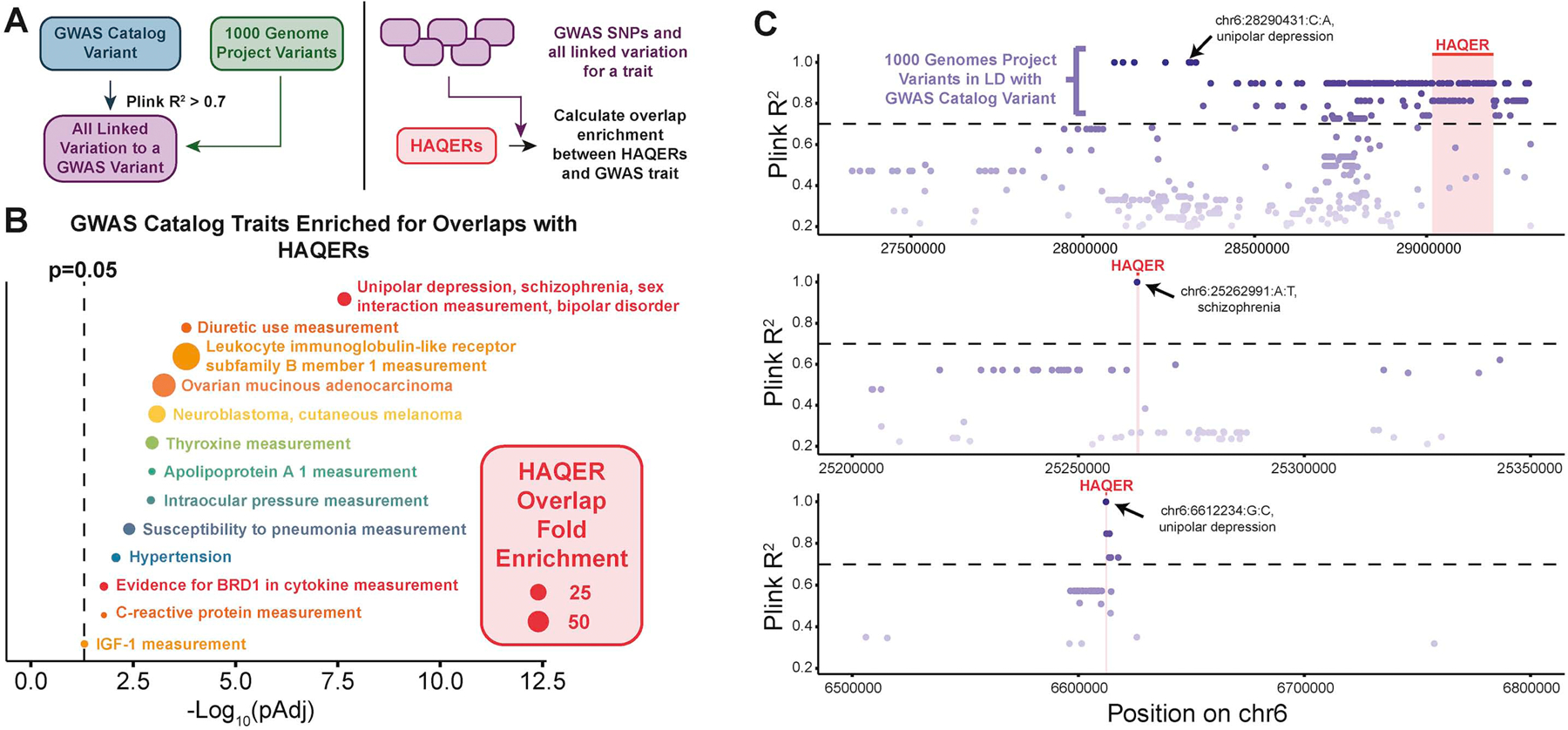 Figure 6: