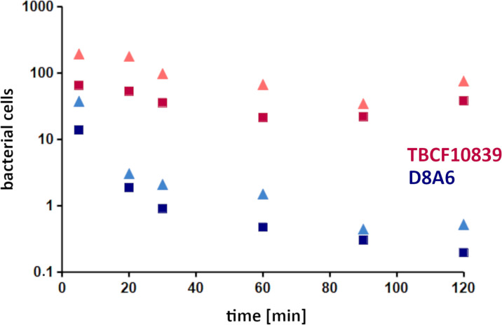 Figure 2