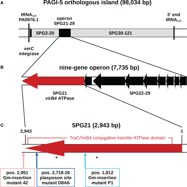 Figure 1