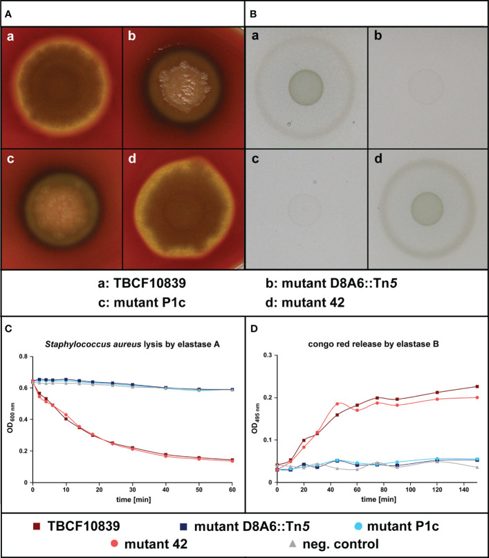 Figure 4