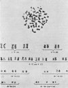 85