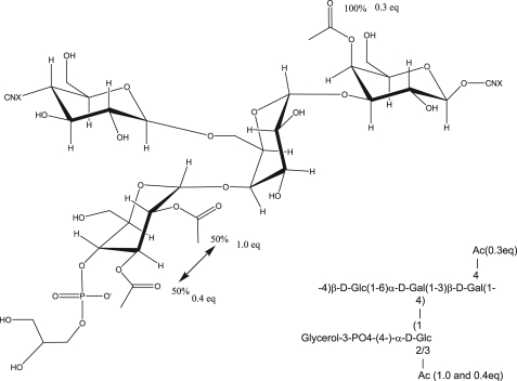 FIGURE 9.