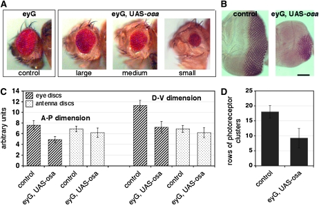 Figure 4.—