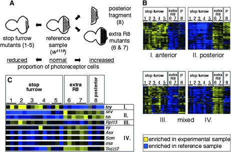 Figure 2.—