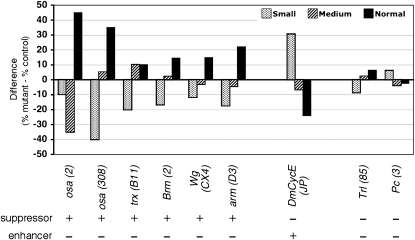 Figure 5.—