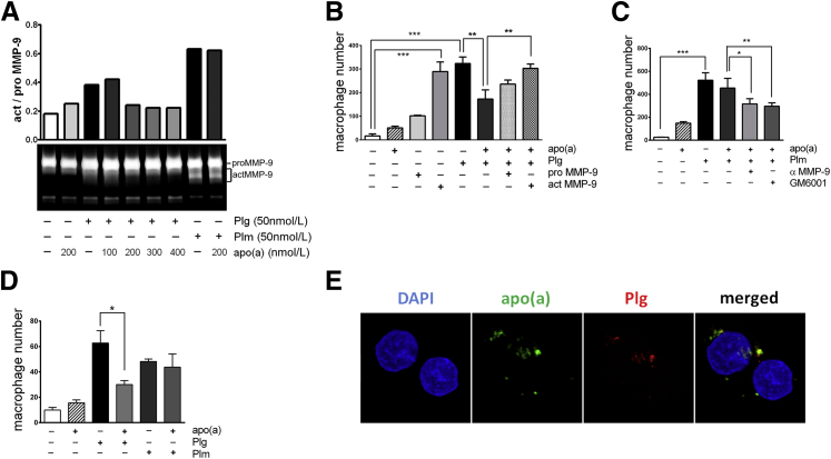 Figure 3