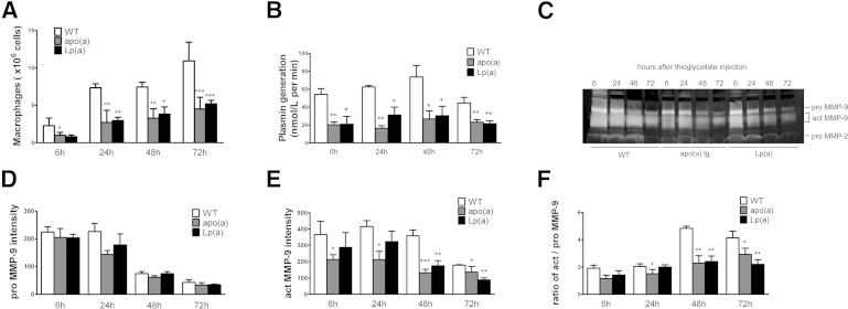 Figure 7