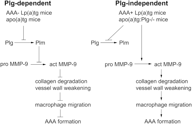 Figure 10