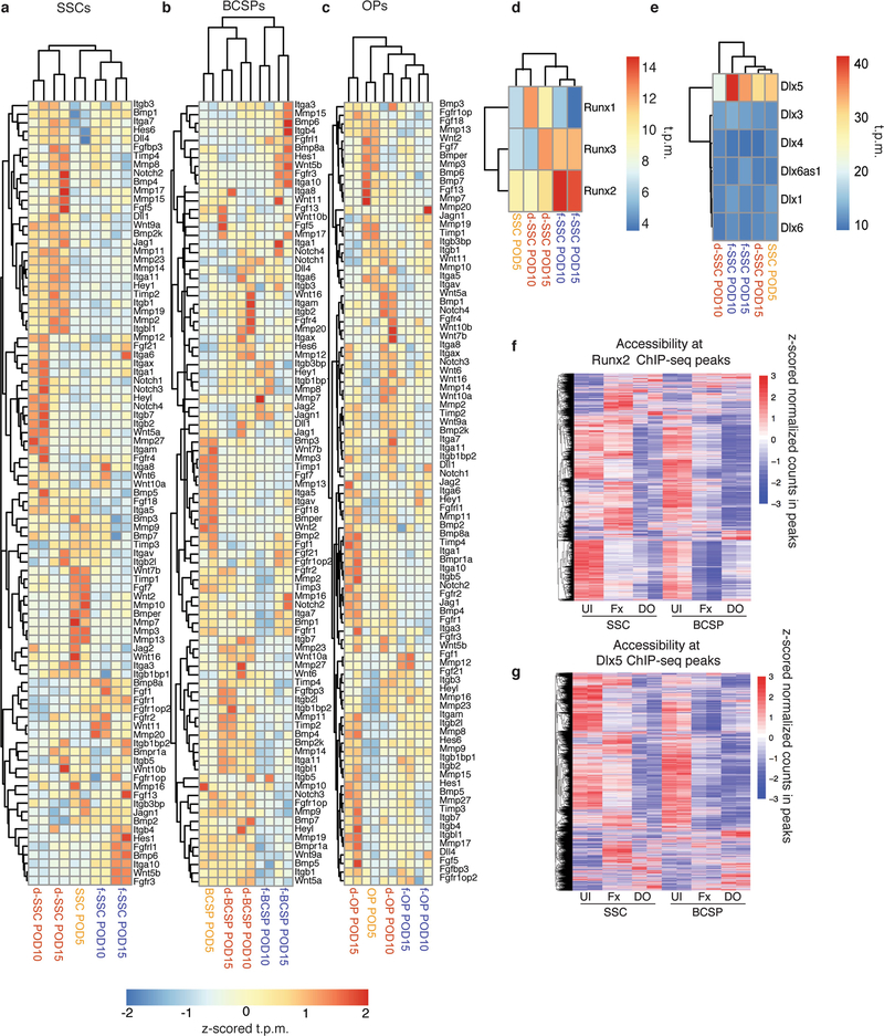 Extended Data Fig. 5 |