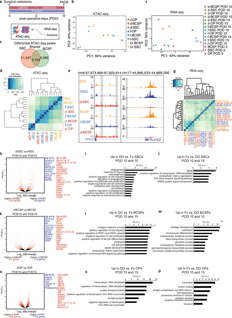 Extended Data Fig. 4 |