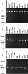 FIG. 9
