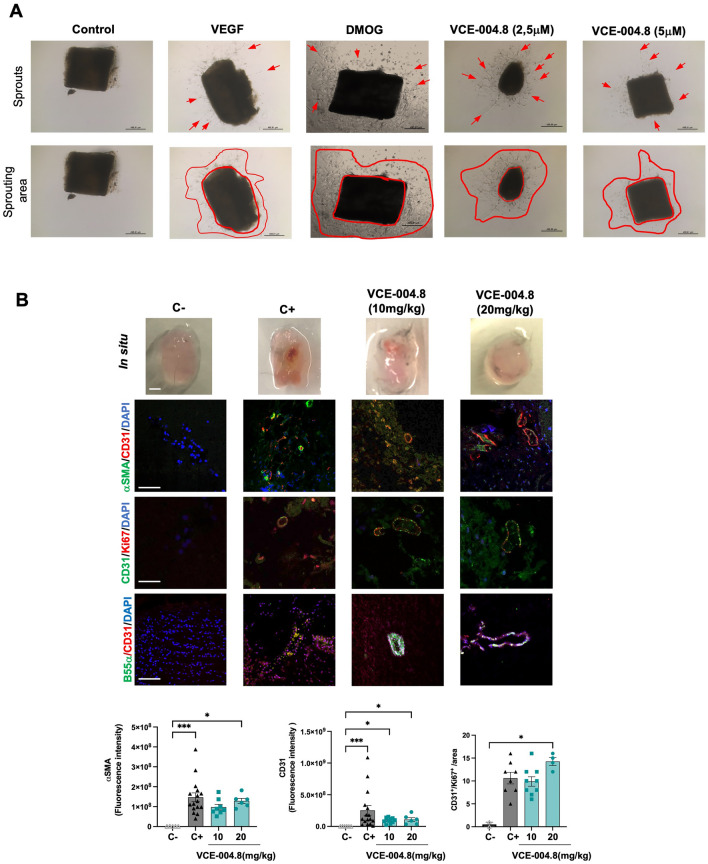 Fig. 6