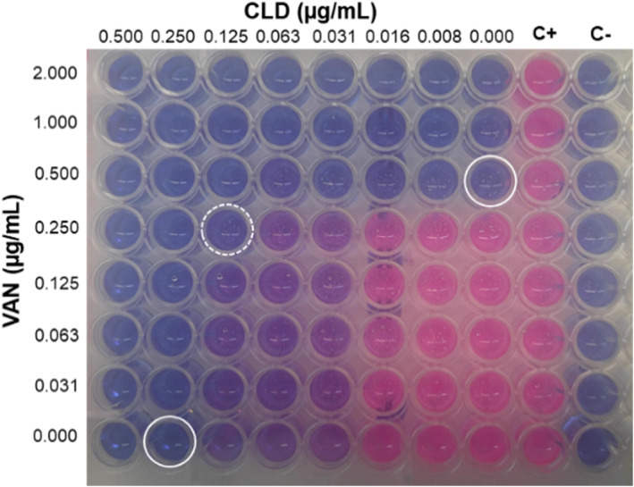 FIGURE 1