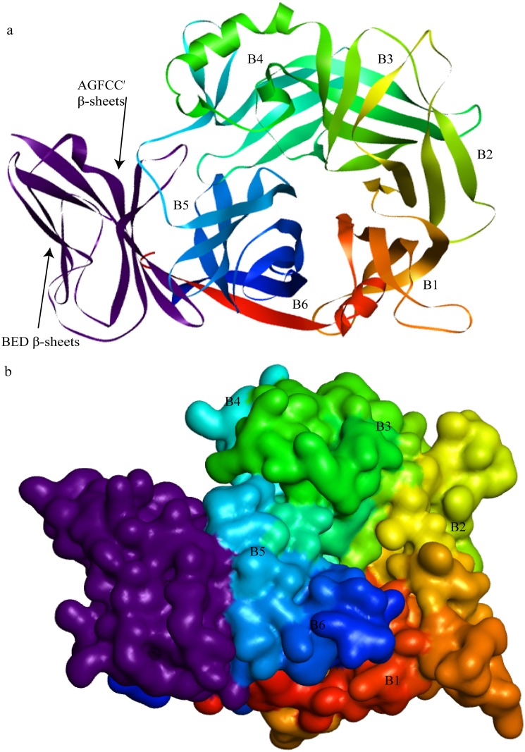 Fig 3