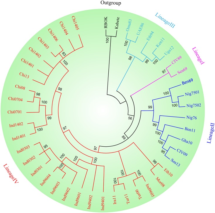 Fig 1