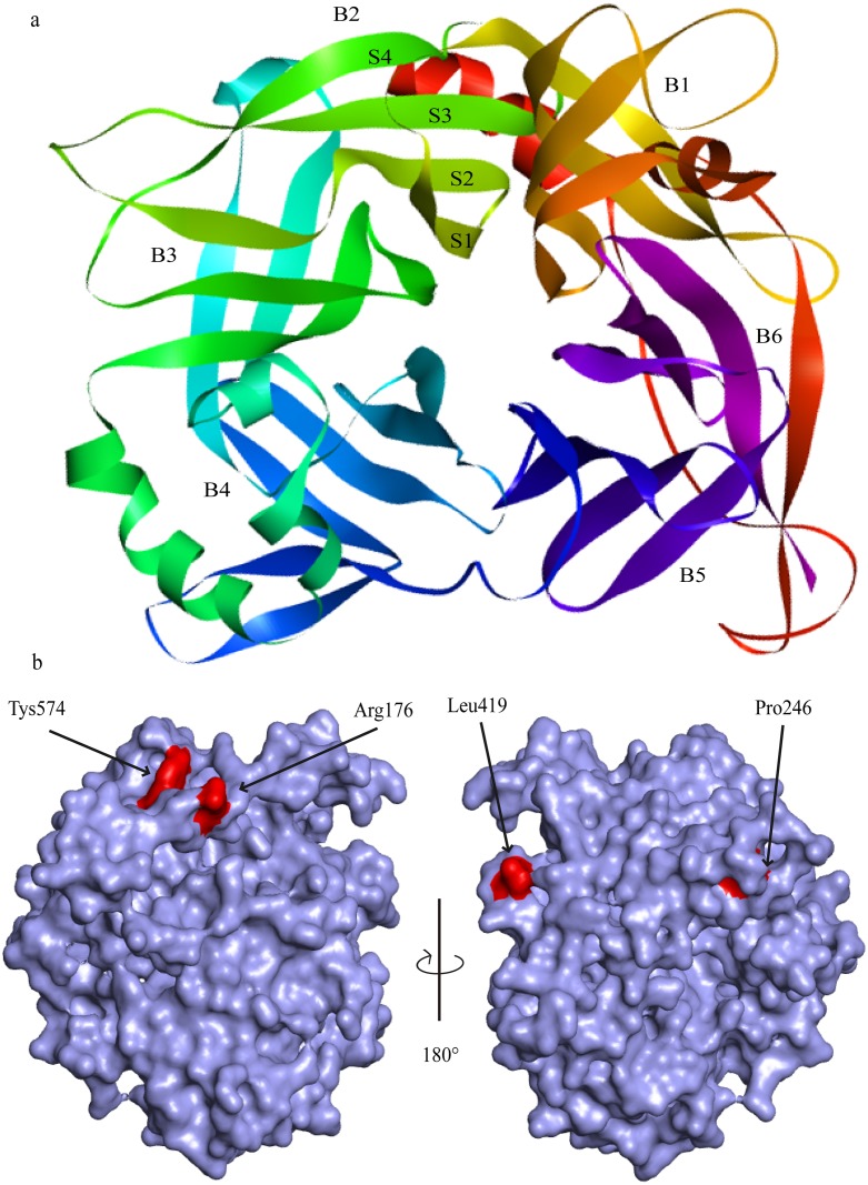 Fig 2