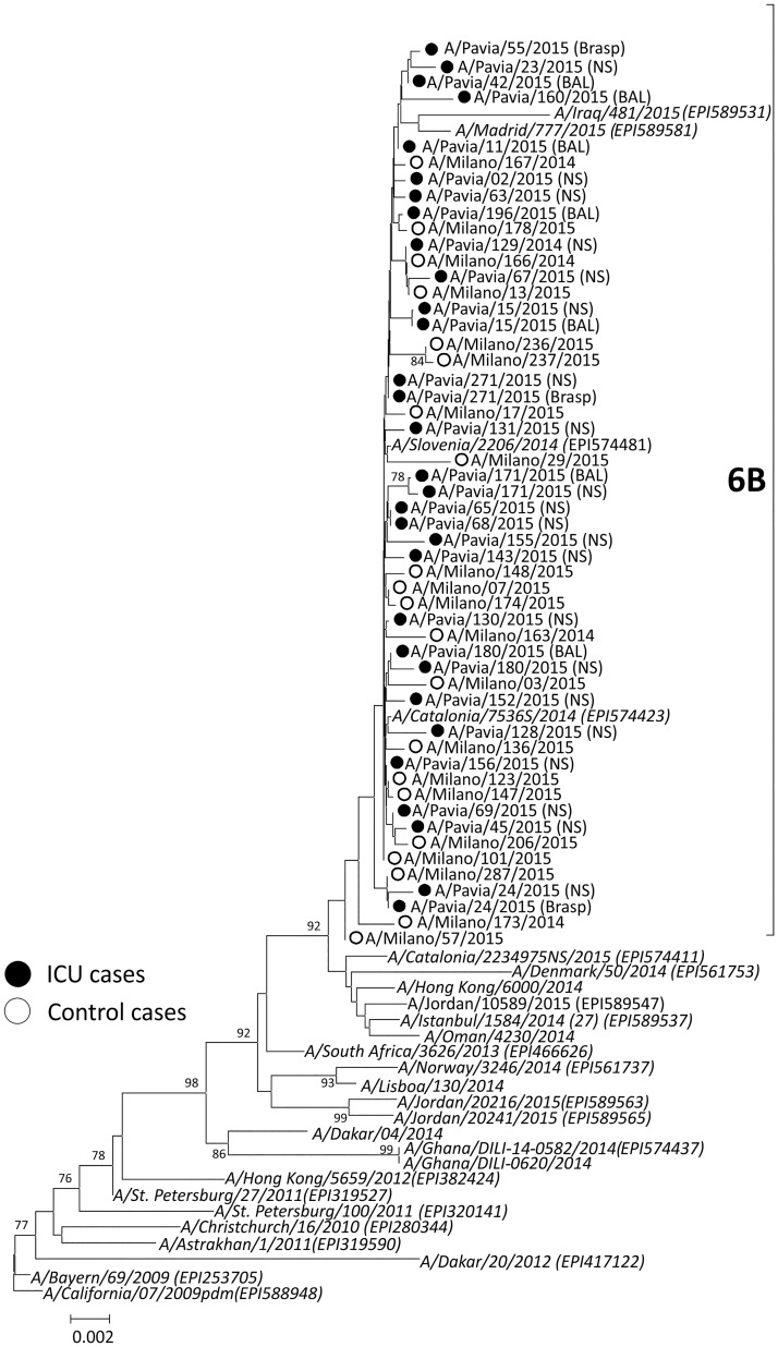 Fig 2