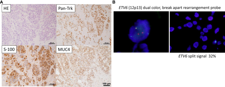 Figure 1