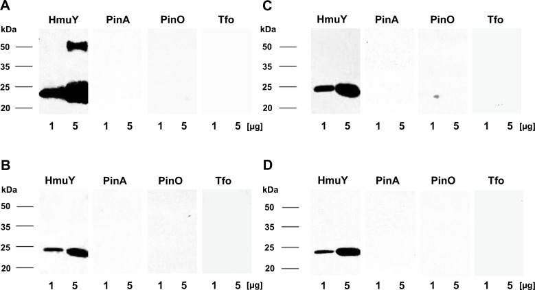 Fig 5