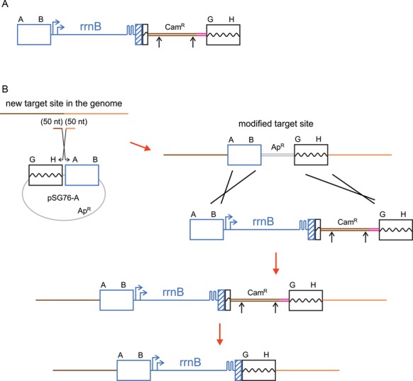 Figure 2.