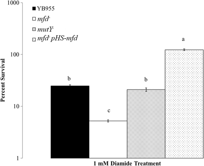 Fig. 5