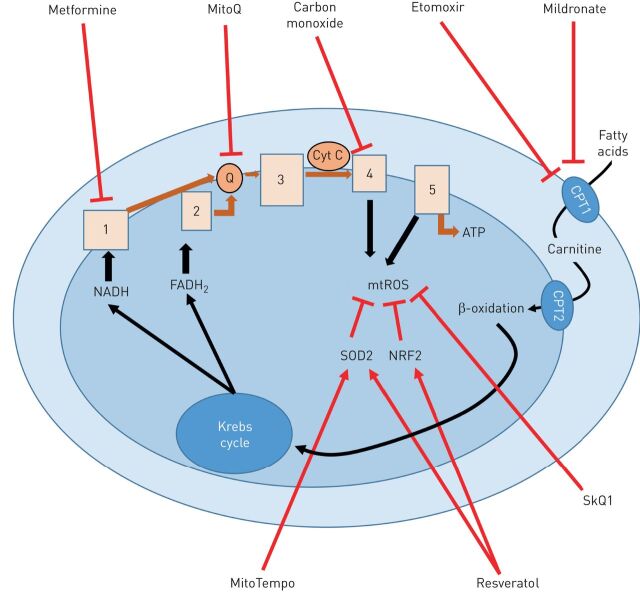 FIGURE 3