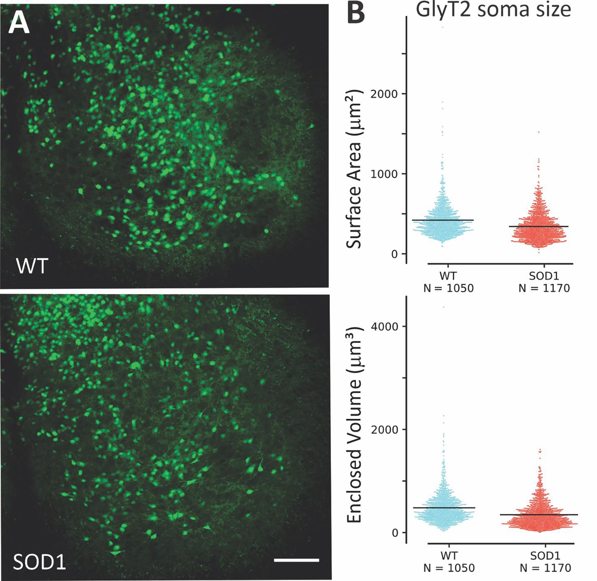 Figure 1: