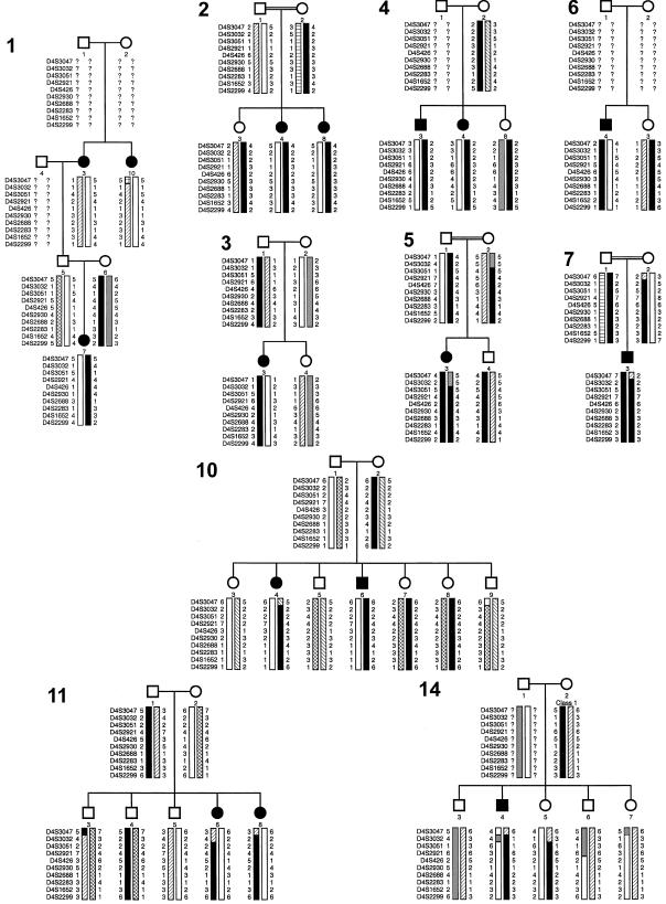 Figure  1 