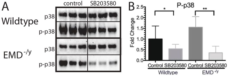 Fig. 9.