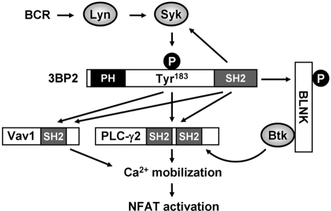 FIGURE 7.