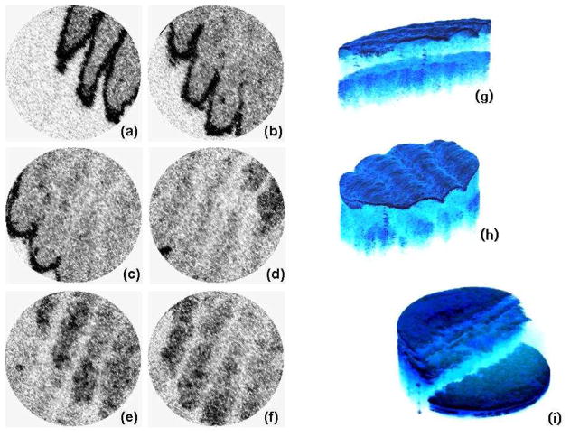 Fig. 8