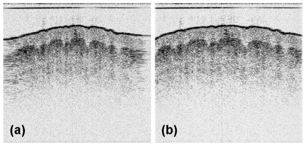 Fig. 5