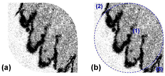 Fig. 9