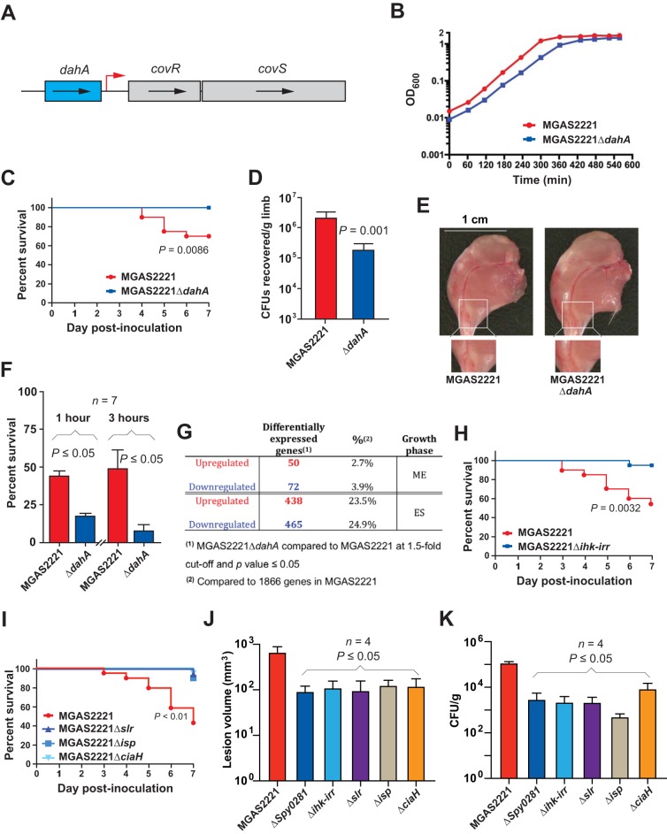 FIG 6