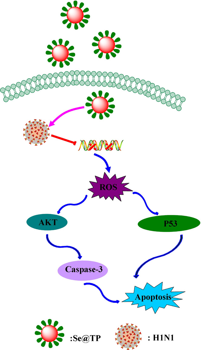 Figure 15