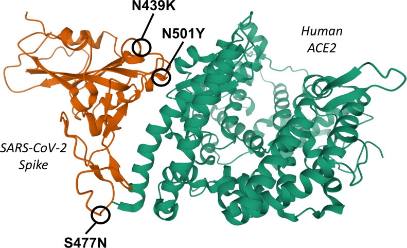 Figure 3.