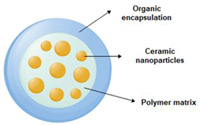 graphic file with name pharmaceutics-13-00296-i007.jpg