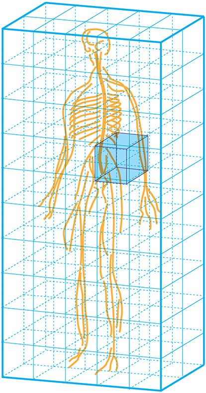 Figure 5.