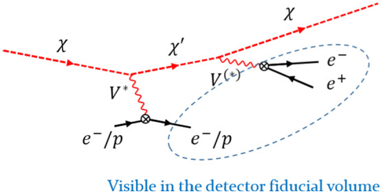 Fig. 20