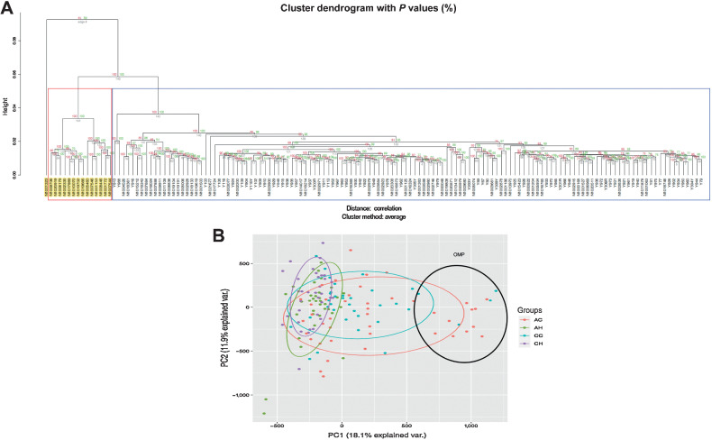 Figure 1. Analysis of methylation data. A, Unsupervised cluster analysis of study samples. Hierarchial cluster plots using unsupervised cluster analysis showing separate cluster for the OMPs. B, Principal component analyses. Principal component analyses of study groups using 819,239 CpGs.