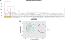 Figure 1. Analysis of methylation data. A, Unsupervised cluster analysis of study samples. Hierarchial cluster plots using unsupervised cluster analysis showing separate cluster for the OMPs. B, Principal component analyses. Principal component analyses of study groups using 819,239 CpGs.