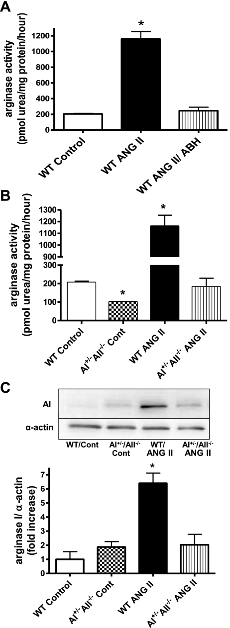 Fig. 10.