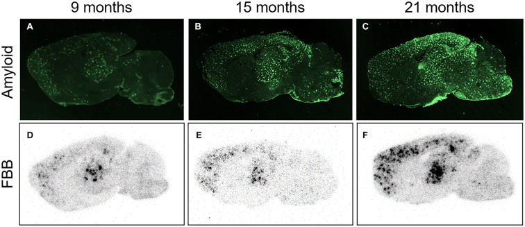 FIGURE 3