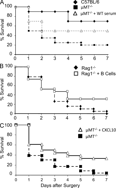 Figure 6.