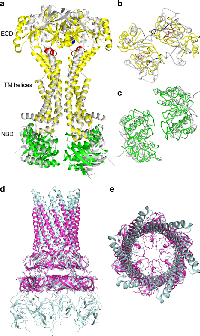 Fig. 4